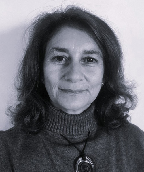 Webinar Speaker